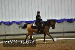 21YN_15972 thumbnail