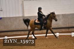 21YN_15973 thumbnail