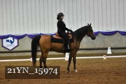 21YN_15974 thumbnail