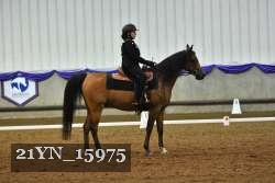 21YN_15975 thumbnail