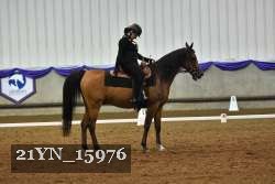 21YN_15976 thumbnail