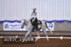 21YN_15988 thumbnail