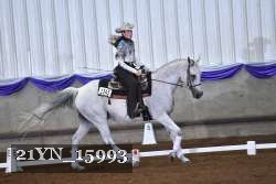 21YN_15993 thumbnail