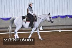 21YN_16001 thumbnail