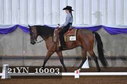21YN_16003 thumbnail