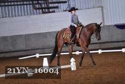 21YN_16004 thumbnail