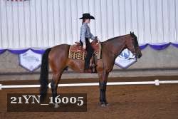 21YN_16005 thumbnail