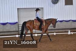 21YN_16008 thumbnail