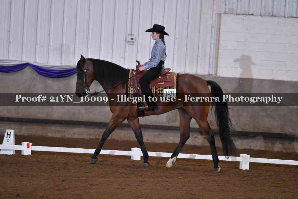 Proof Number 21YN_16009