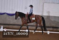 21YN_16009 thumbnail