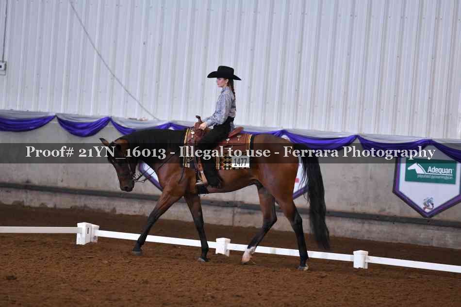 Proof Number 21YN_16013