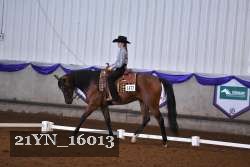 21YN_16013 thumbnail