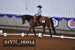 21YN_16014 thumbnail