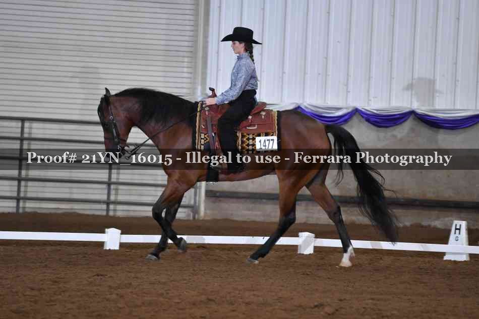 Proof Number 21YN_16015