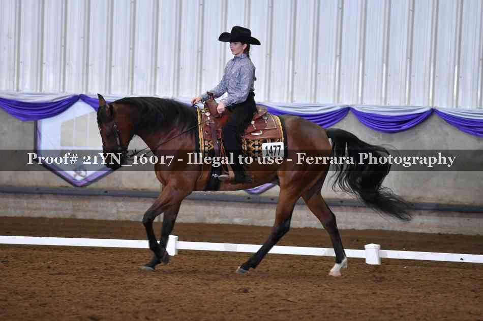 Proof Number 21YN_16017