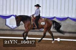 21YN_16017 thumbnail