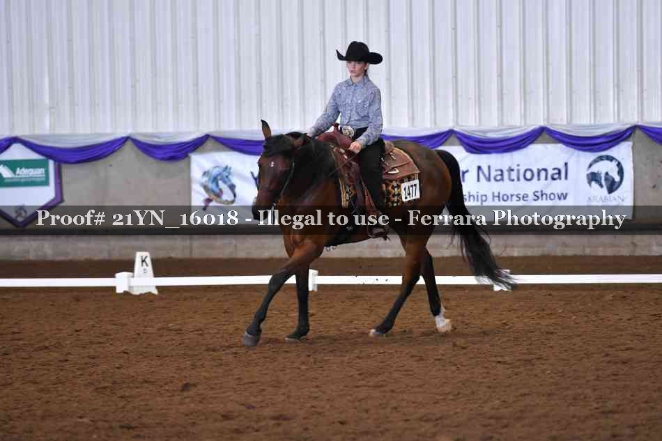Proof Number 21YN_16018