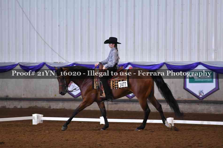 Proof Number 21YN_16020