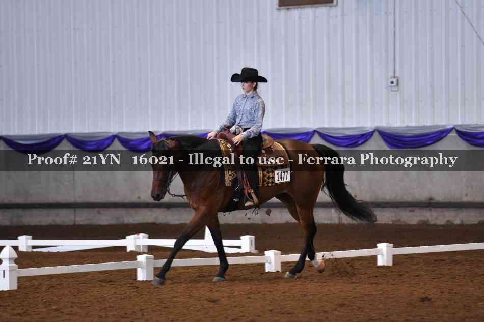 Proof Number 21YN_16021