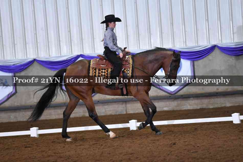 Proof Number 21YN_16022
