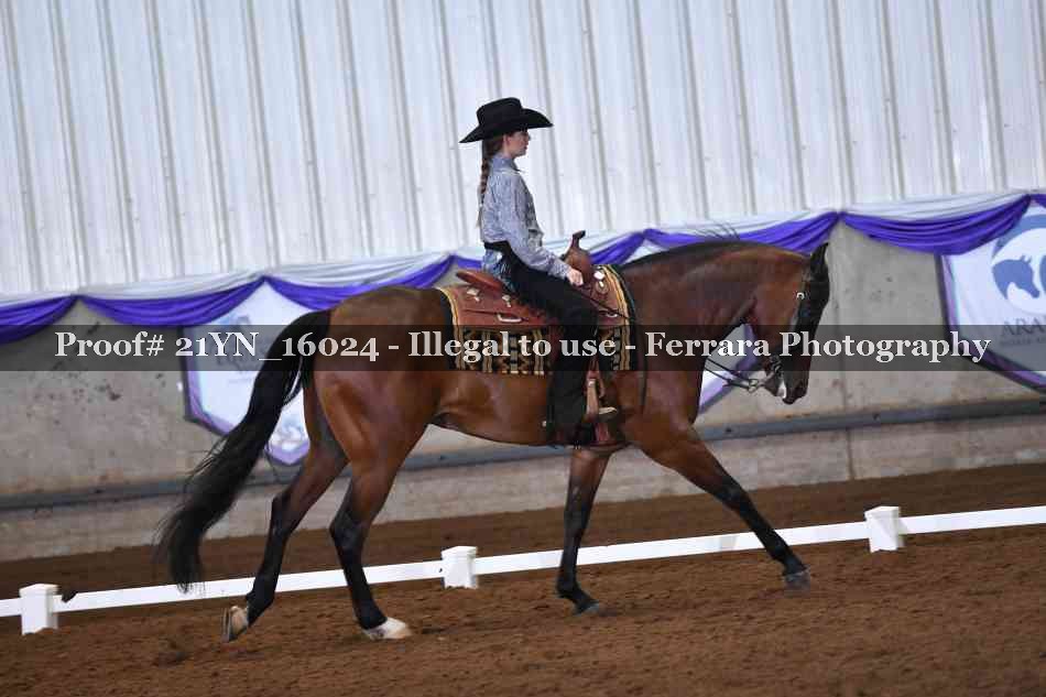 Proof Number 21YN_16024