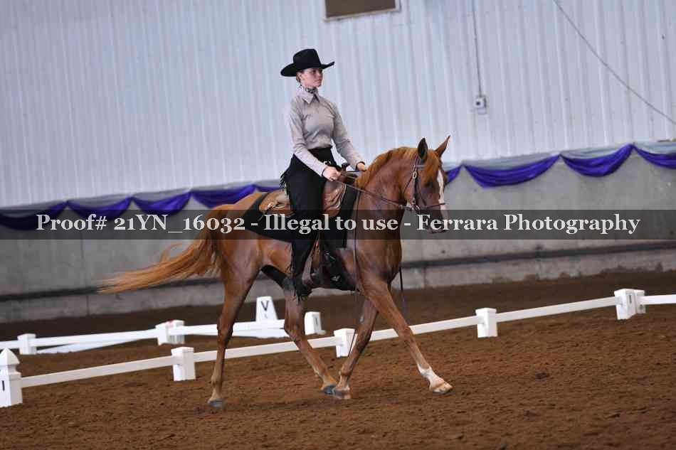 Proof Number 21YN_16032