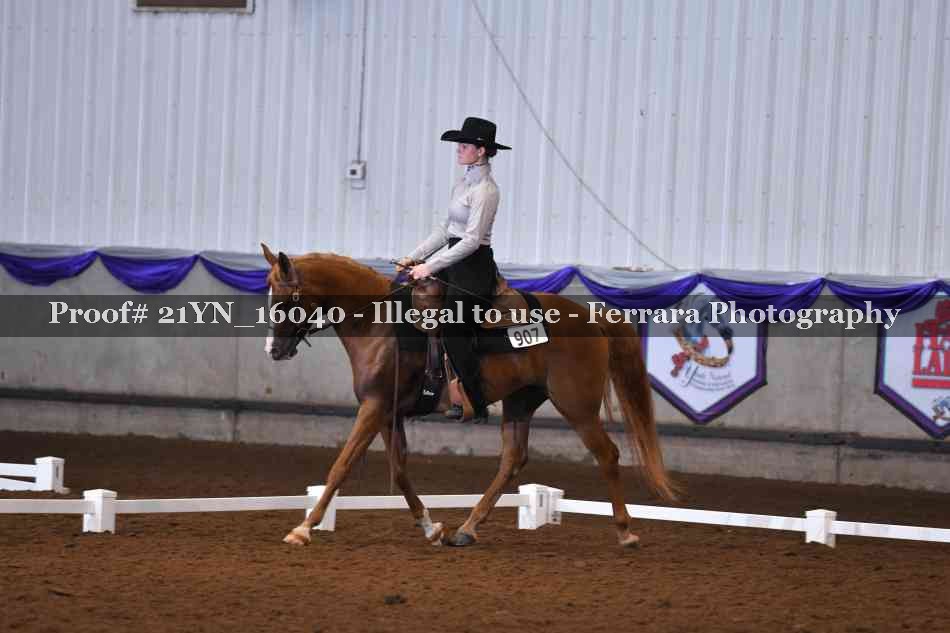 Proof Number 21YN_16040
