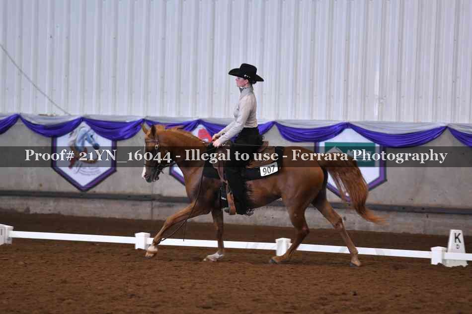 Proof Number 21YN_16044