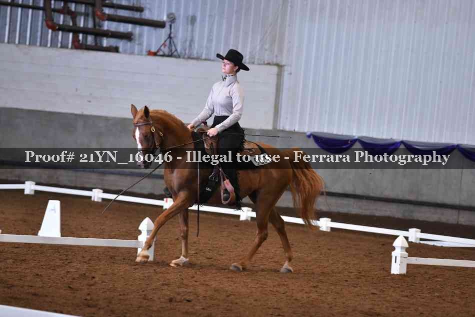 Proof Number 21YN_16046