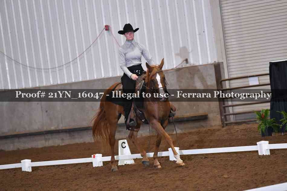 Proof Number 21YN_16047