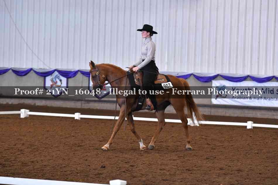 Proof Number 21YN_16048