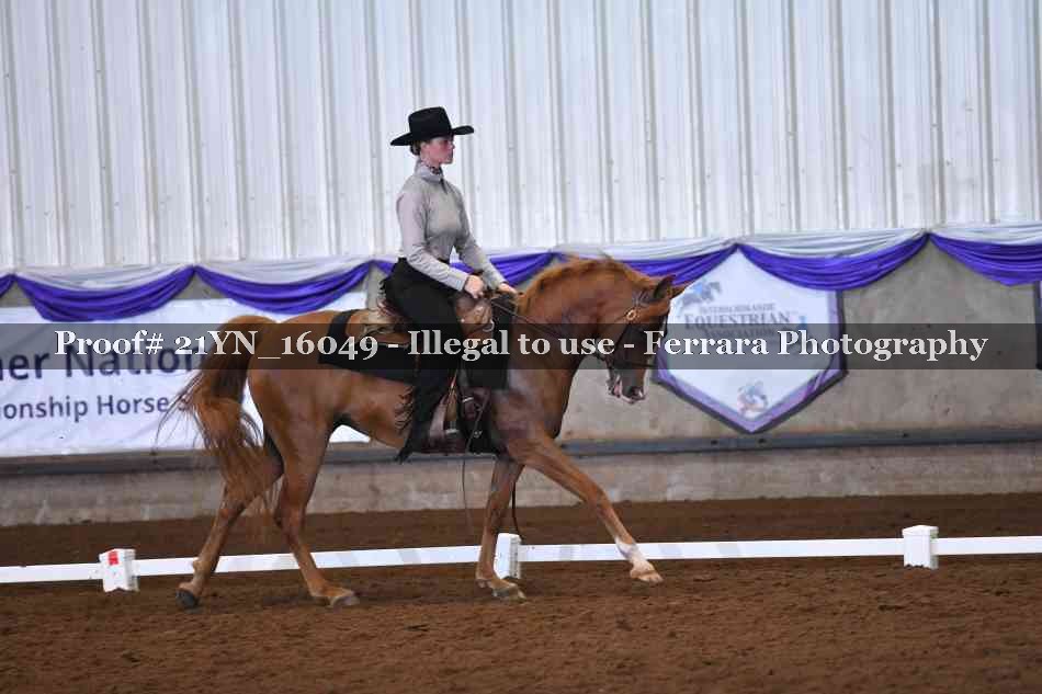 Proof Number 21YN_16049