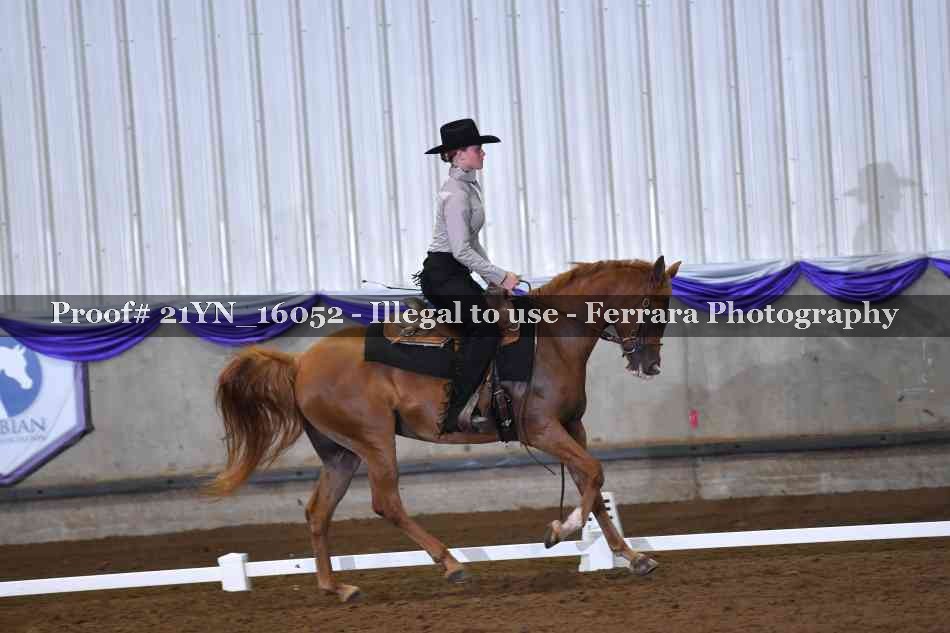 Proof Number 21YN_16052