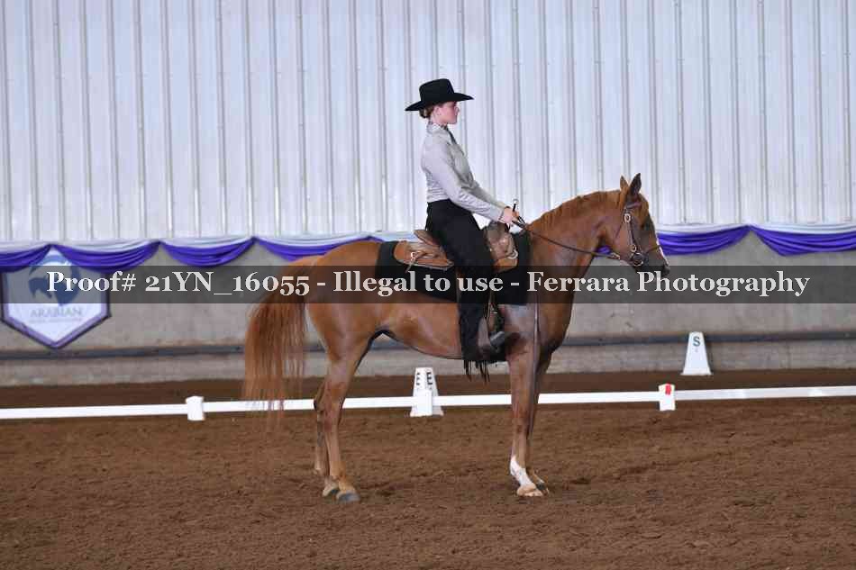 Proof Number 21YN_16055