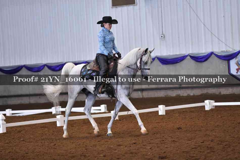 Proof Number 21YN_16061