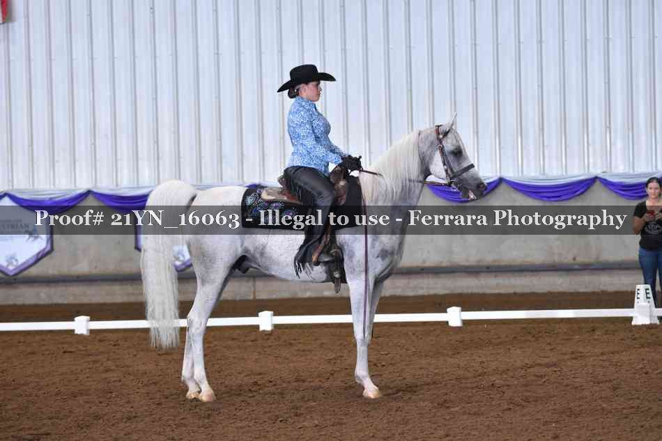 Proof Number 21YN_16063
