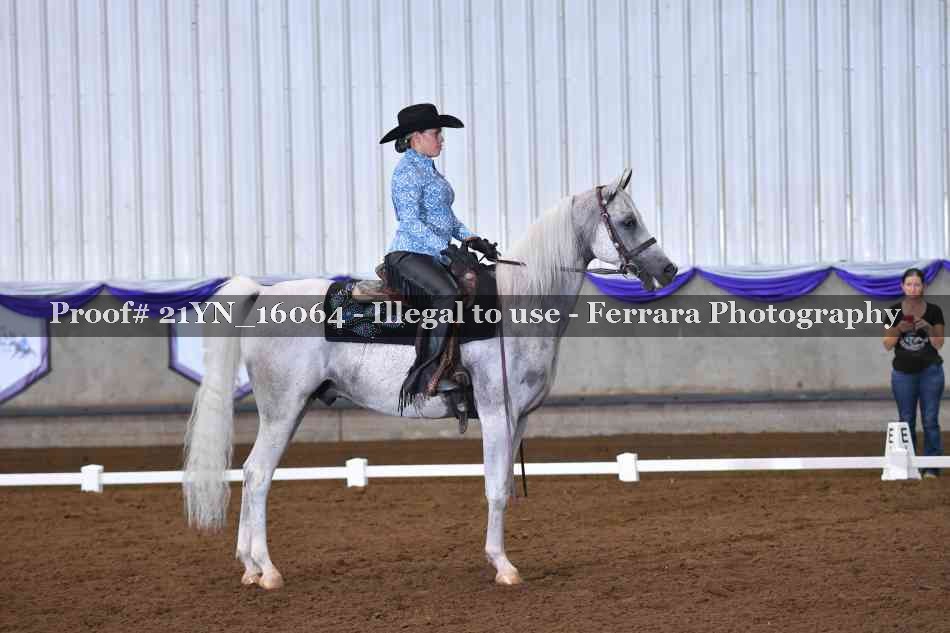 Proof Number 21YN_16064