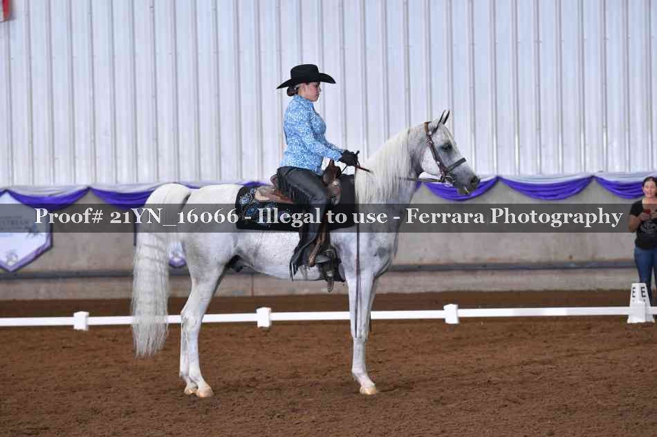 Proof Number 21YN_16066
