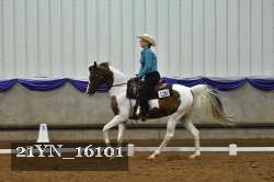 21YN_16101 thumbnail
