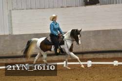 21YN_16110 thumbnail