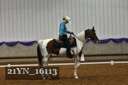 21YN_16113 thumbnail