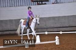21YN_16141 thumbnail