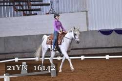 21YN_16142 thumbnail