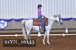 21YN_16145 thumbnail