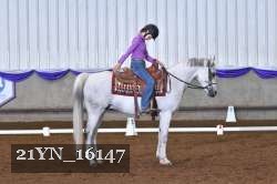 21YN_16147 thumbnail