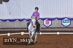 21YN_16156 thumbnail