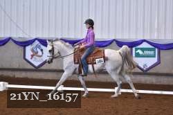 21YN_16157 thumbnail