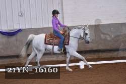 21YN_16160 thumbnail