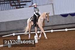 21YN_16164 thumbnail