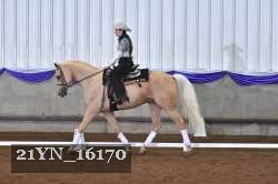21YN_16170 thumbnail